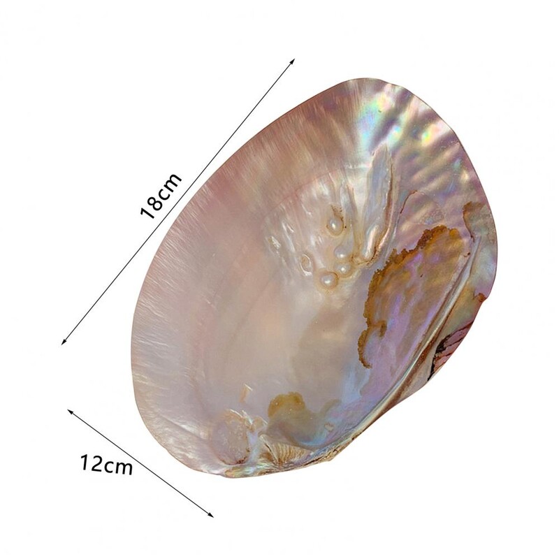 Контейнер за съхранение Прекрасен жив цветен държач за съхранение Реквизит за стрелба Контейнер за съхранение на раковина за дома