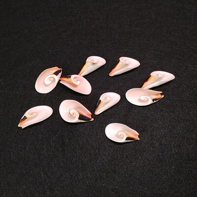 10 бр. Естествени спираловидни черупки Мъниста Плажни черупки Висулки Занаяти Резени за изработка на бижута направи си сам Морски стил Fish Tank