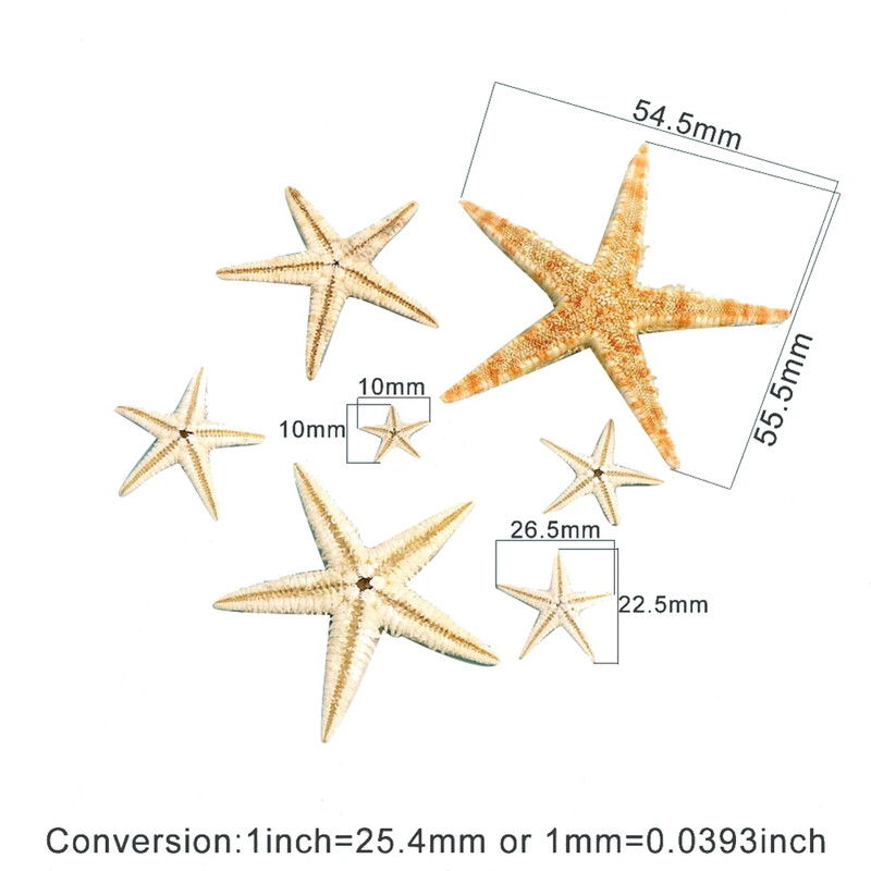20/50/100 бр. Естествени морски звезди Seashell Beach Craft Natural Sea Stars Направи си сам плажни сватбени декорации Craft Home Decorations
