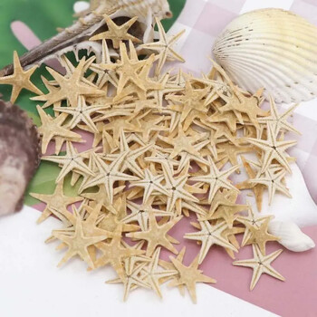 5/25/50 τμχ Mini Starfish Shell Craft Decoration Sea Stars DIY Beach Cottage Wedding Decor θαλάσσια κοχύλια πάρτι θαλάσσια κόγχη