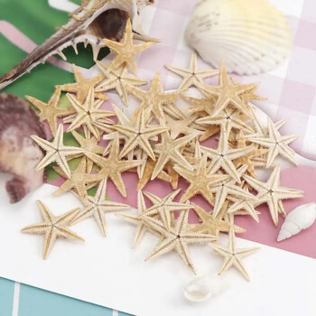 5/25/50 τμχ Mini Starfish Shell Craft Decoration Sea Stars DIY Beach Cottage Wedding Decor θαλάσσια κοχύλια πάρτι θαλάσσια κόγχη