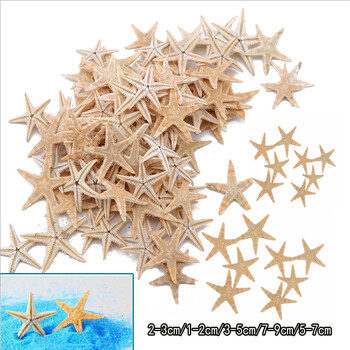 5/25/50 τμχ Mini Starfish Shell Craft Decoration Sea Stars DIY Beach Cottage Wedding Decor θαλάσσια κοχύλια πάρτι θαλάσσια κόγχη