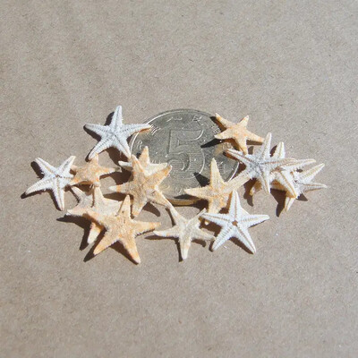 5/25/50 vnt Mini Starfish Shell amatų dekoravimas Jūros žvaigždės „Pasidaryk pats“ paplūdimio kotedžo vestuvių dekoras jūros kriauklės vakarėliui jūros kriauklė