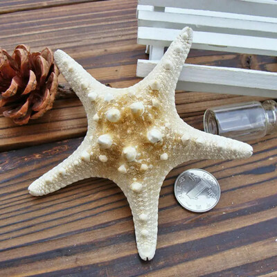 5/25/50 vnt Mini Starfish Shell amatų dekoravimas Jūros žvaigždės „Pasidaryk pats“ paplūdimio kotedžo vestuvių dekoras jūros kriauklės vakarėliui jūros kriauklė