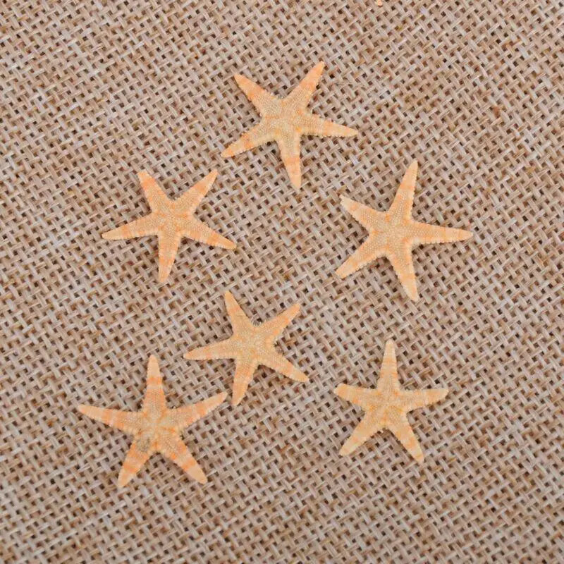 5/25/50 vnt Mini Starfish Shell amatų dekoravimas Jūros žvaigždės „Pasidaryk pats“ paplūdimio kotedžo vestuvių dekoras jūros kriauklės vakarėliui jūros kriauklė