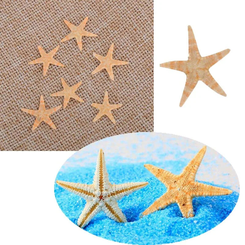 5/25/50 vnt Mini Starfish Shell amatų dekoravimas Jūros žvaigždės „Pasidaryk pats“ paplūdimio kotedžo vestuvių dekoras jūros kriauklės vakarėliui jūros kriauklė
