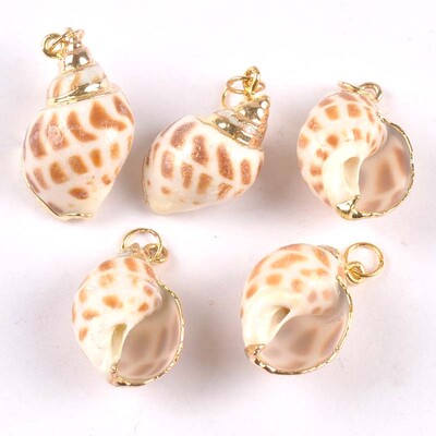 20-40 mm mišinys Natural Shell Paauksuotas, skirtas "pasidaryk pats" rankų darbo pakabukui SeaShells Namų apdaila 5vnt TRS0251