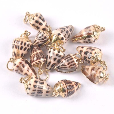 20-40 mm mišinys Natural Shell Paauksuotas, skirtas "pasidaryk pats" rankų darbo pakabukui SeaShells Namų apdaila 5vnt TRS0251