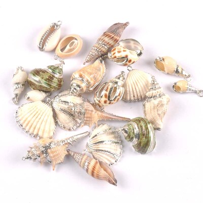 20-40 mm mišinys Natural Shell Paauksuotas, skirtas "pasidaryk pats" rankų darbo pakabukui SeaShells Namų apdaila 5vnt TRS0251