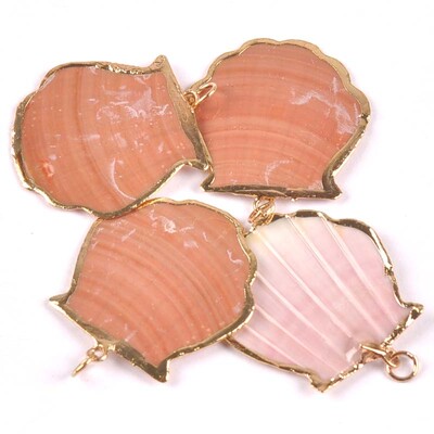 20-40 mm mišinys Natural Shell Paauksuotas, skirtas "pasidaryk pats" rankų darbo pakabukui SeaShells Namų apdaila 5vnt TRS0251