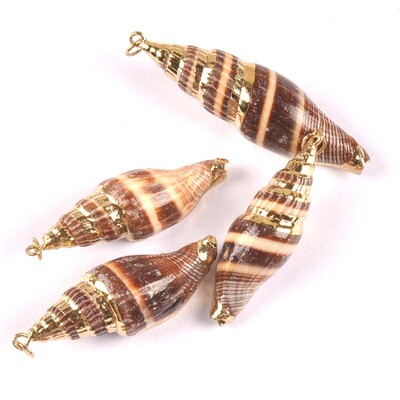 20-40 mm mišinys Natural Shell Paauksuotas, skirtas "pasidaryk pats" rankų darbo pakabukui SeaShells Namų apdaila 5vnt TRS0251