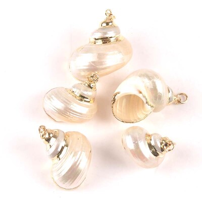 20-40 mm mišinys Natural Shell Paauksuotas, skirtas "pasidaryk pats" rankų darbo pakabukui SeaShells Namų apdaila 5vnt TRS0251