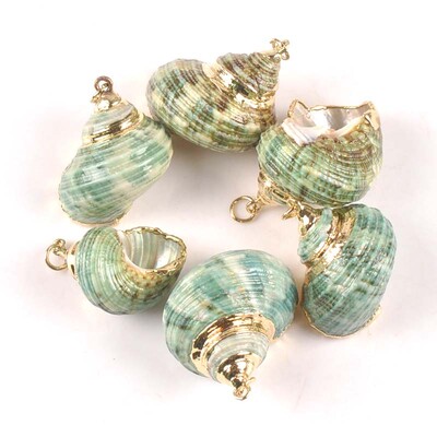 20-40 mm mišinys Natural Shell Paauksuotas, skirtas "pasidaryk pats" rankų darbo pakabukui SeaShells Namų apdaila 5vnt TRS0251