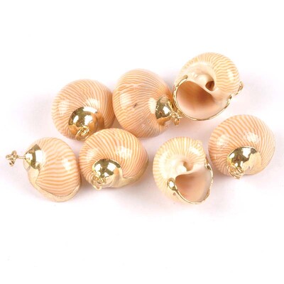 20-40 mm mišinys Natural Shell Paauksuotas, skirtas "pasidaryk pats" rankų darbo pakabukui SeaShells Namų apdaila 5vnt TRS0251