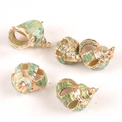 20-40 mm mišinys Natural Shell Paauksuotas, skirtas "pasidaryk pats" rankų darbo pakabukui SeaShells Namų apdaila 5vnt TRS0251