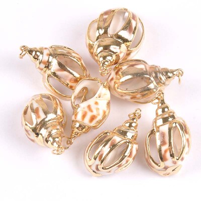 20-40 mm mišinys Natural Shell Paauksuotas, skirtas "pasidaryk pats" rankų darbo pakabukui SeaShells Namų apdaila 5vnt TRS0251