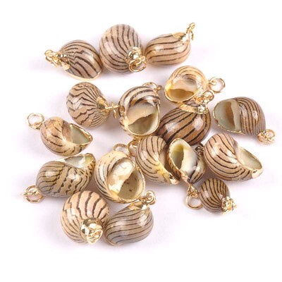 20-40 mm mišinys Natural Shell Paauksuotas, skirtas "pasidaryk pats" rankų darbo pakabukui SeaShells Namų apdaila 5vnt TRS0251