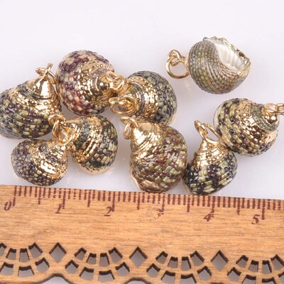 20-40 mm mišinys Natural Shell Paauksuotas, skirtas "pasidaryk pats" rankų darbo pakabukui SeaShells Namų apdaila 5vnt TRS0251