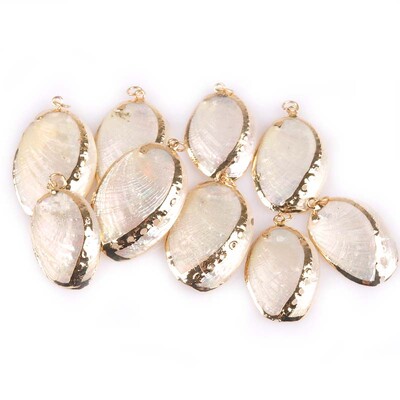 20-40 mm mišinys Natural Shell Paauksuotas, skirtas "pasidaryk pats" rankų darbo pakabukui SeaShells Namų apdaila 5vnt TRS0251