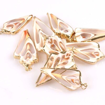 20-40 mm mišinys Natural Shell Paauksuotas, skirtas "pasidaryk pats" rankų darbo pakabukui SeaShells Namų apdaila 5vnt TRS0251