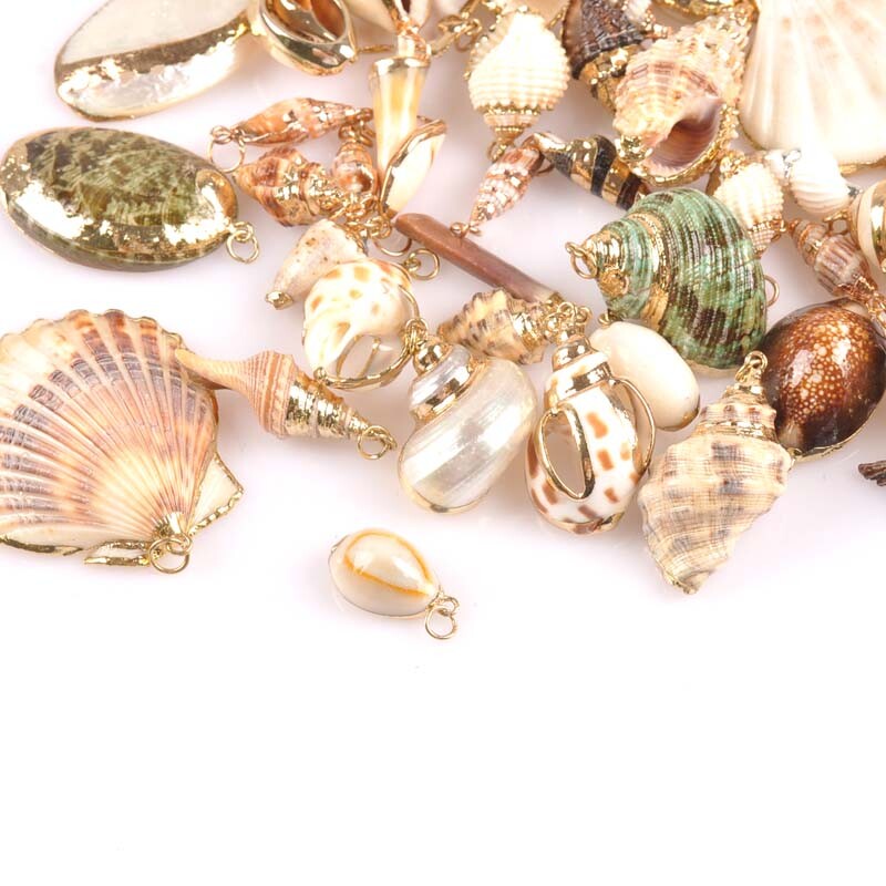 20-40 mm mišinys Natural Shell Paauksuotas, skirtas "pasidaryk pats" rankų darbo pakabukui SeaShells Namų apdaila 5vnt TRS0251