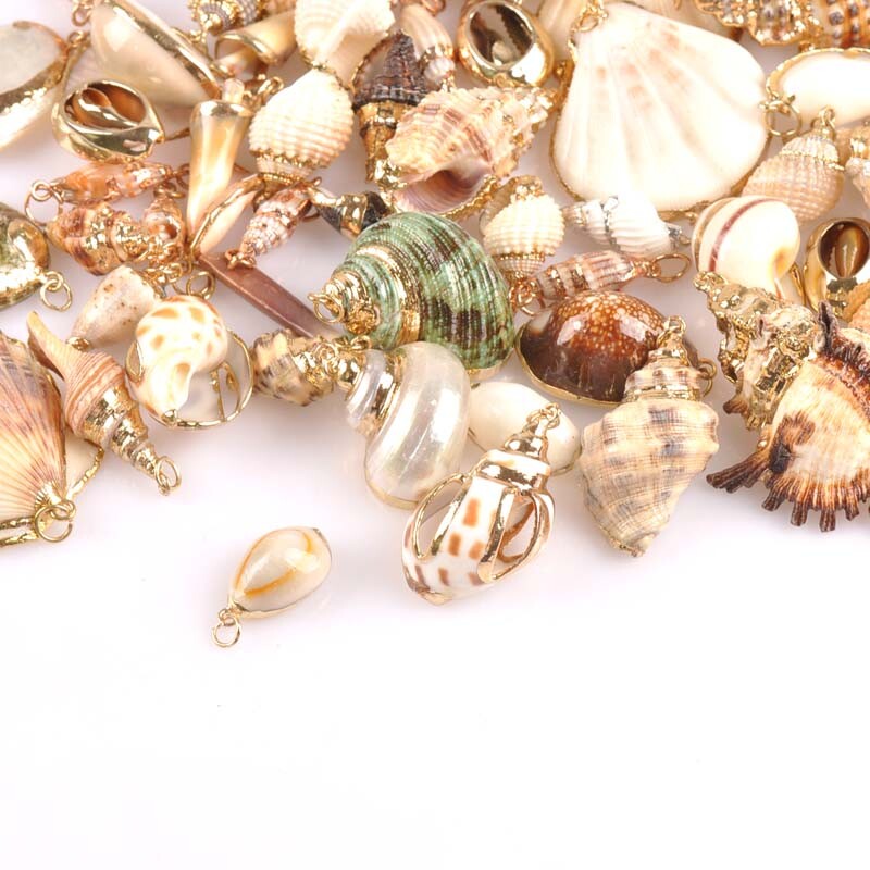 20-40 mm mišinys Natural Shell Paauksuotas, skirtas "pasidaryk pats" rankų darbo pakabukui SeaShells Namų apdaila 5vnt TRS0251