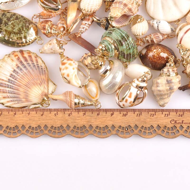 20-40 mm mišinys Natural Shell Paauksuotas, skirtas "pasidaryk pats" rankų darbo pakabukui SeaShells Namų apdaila 5vnt TRS0251