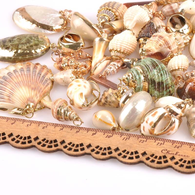 20-40 mm mišinys Natural Shell Paauksuotas, skirtas "pasidaryk pats" rankų darbo pakabukui SeaShells Namų apdaila 5vnt TRS0251