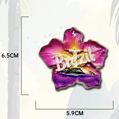 Южна Америка, Бразилия, смола, 3D магнити за хладилник, туристически сувенир, стикер за хладилник, ръкоделие, подарък, декорация, артикули