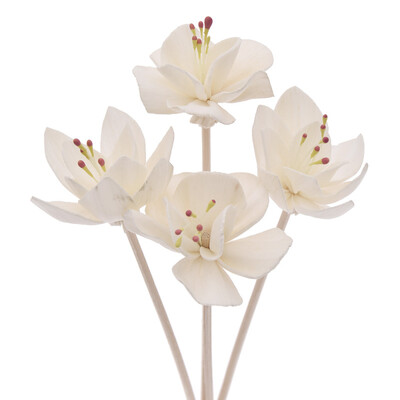 Primarna boja, oblik cvijeta bez vatre, aromaterapija od ratana za difuzor od trske, zamjenski štapići, kućna kupaonska dekoracija