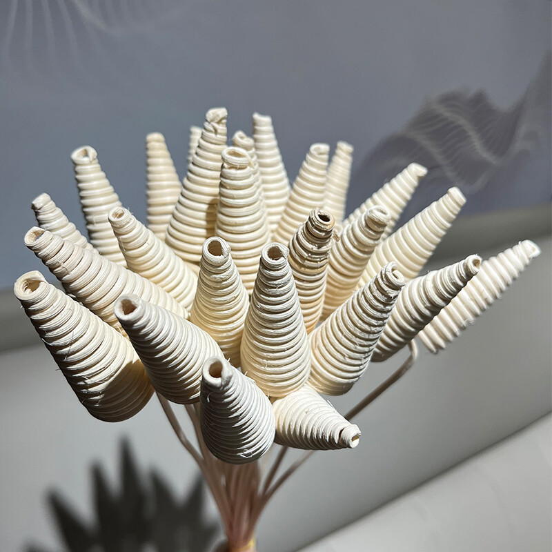 10 komada štapića za difuzor od trske Dugi valoviti štapići od ratana Zamjenski difuzor mirisa za dom Štapići za punjenje Štapići za osvježivače zraka