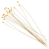 20 бр. Ароматерапия Ратаново масло Цветни пръчици Бутилка с дифузор за тамян Аксесоар Изсушен Замяна