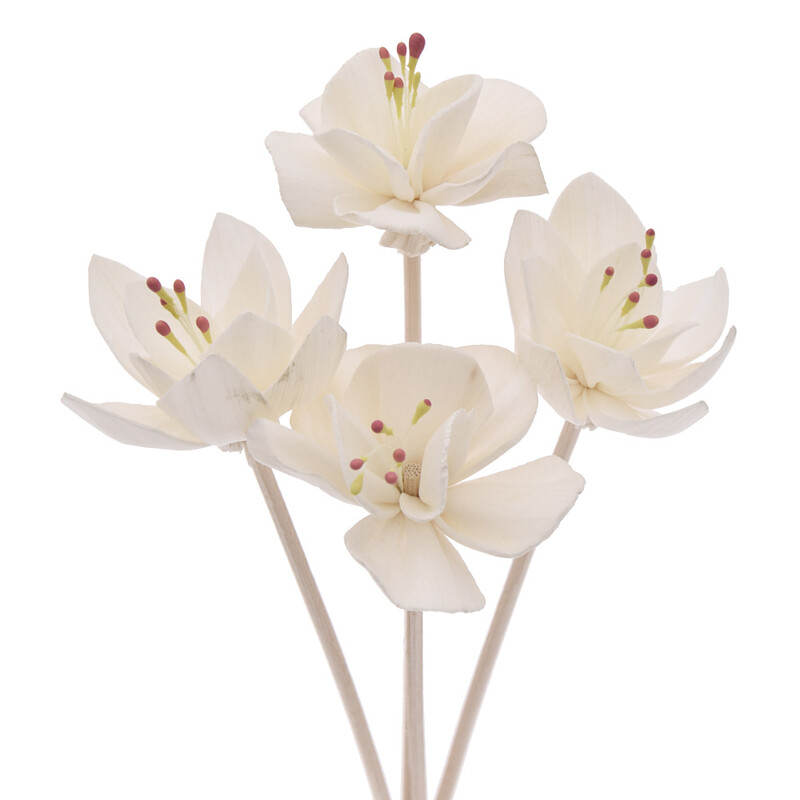 5 бр. Пръчка за дифузьор с червена сърцевина във формата на слива (диаметър 4,5)