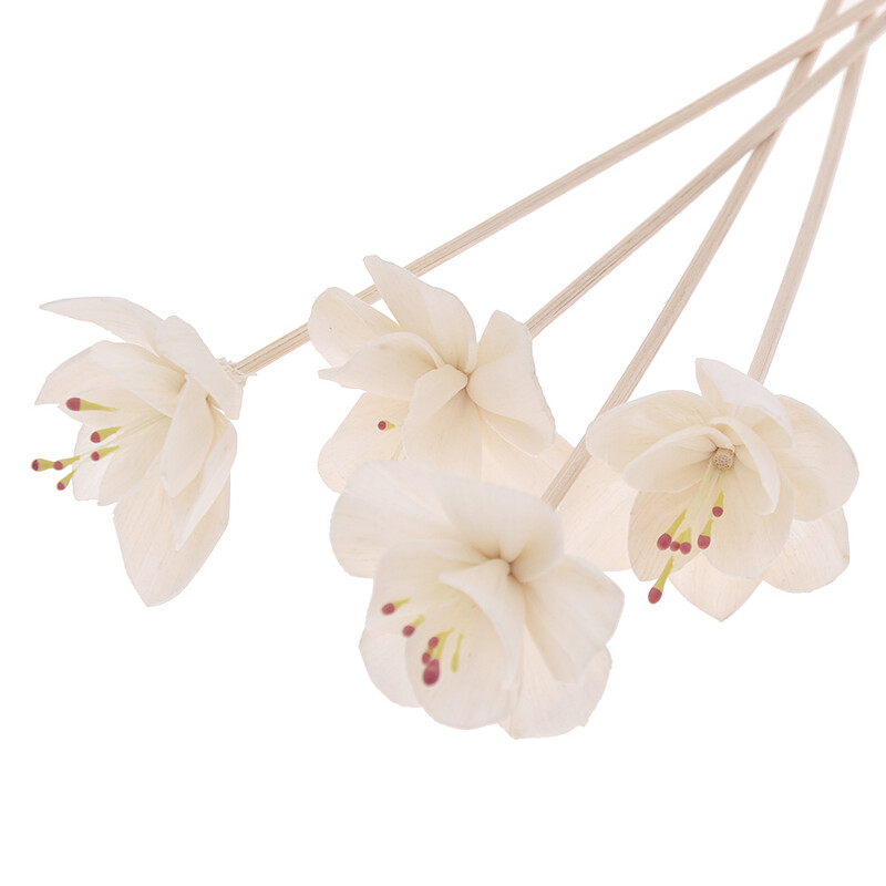 5 бр. Пръчка за дифузьор с червена сърцевина във формата на слива (диаметър 4,5)