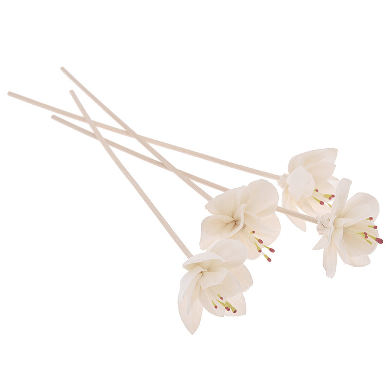 5 бр. Пръчка за дифузьор с червена сърцевина във формата на слива (диаметър 4,5)