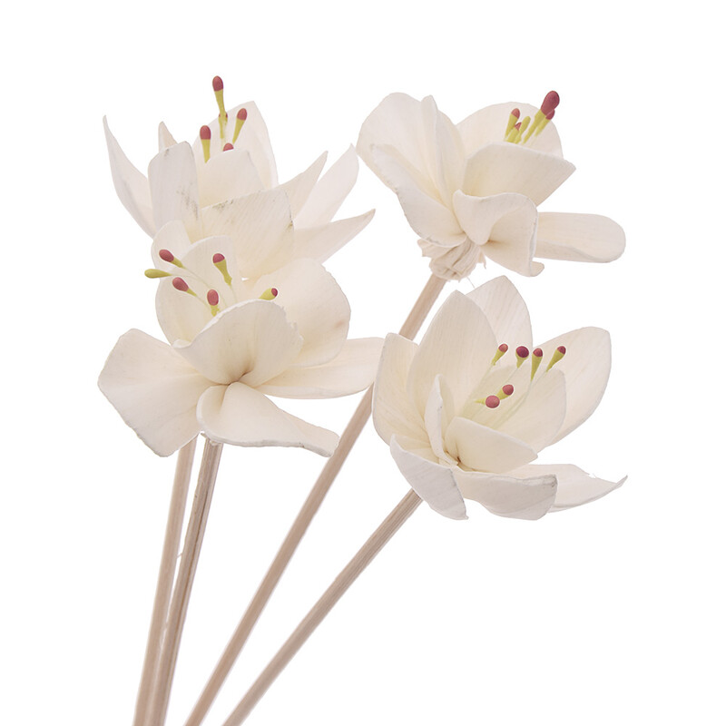 5 бр. Пръчка за дифузьор с червена сърцевина във формата на слива (диаметър 4,5)