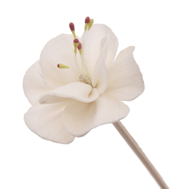 5 бр. Пръчка за дифузьор с червена сърцевина във формата на слива (диаметър 4,5)