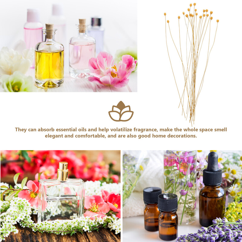20 бр. Ароматерапевтични ратанови пръчици за разпръскване на аромати Бутилка с масло от тамян Аксесоар Пръчка за ароматизиран заместител на сухи цветя