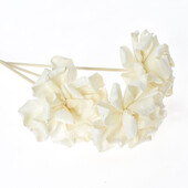 UUS 3 TK Roosililled rotangist pulgad Tulevabad lõhnaained Pilliroo hajutipulk isetehtud kaunistused kodukaunistused