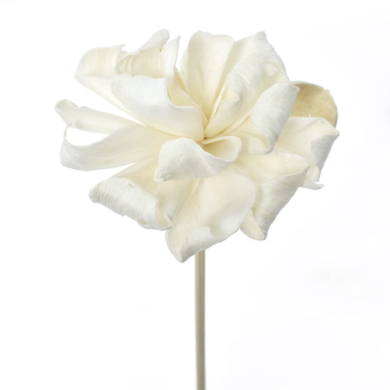 UUS 3 TK Roosililled rotangist pulgad Tulevabad lõhnaained Pilliroo hajutipulk isetehtud kaunistused kodukaunistused