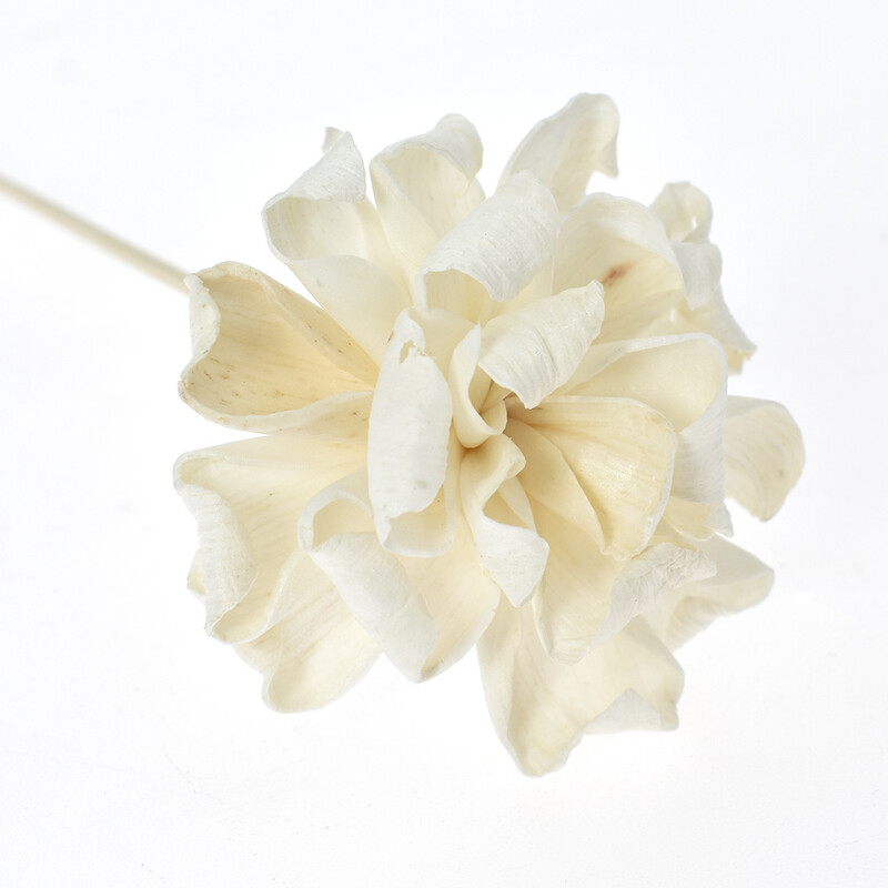 UUS 3 TK Roosililled rotangist pulgad Tulevabad lõhnaained Pilliroo hajutipulk isetehtud kaunistused kodukaunistused