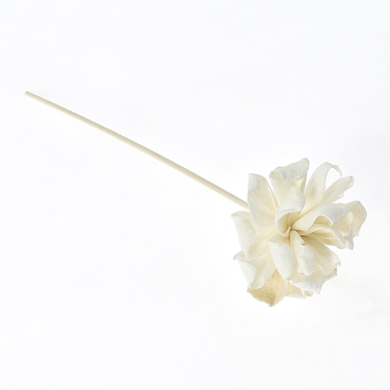 UUS 3 TK Roosililled rotangist pulgad Tulevabad lõhnaained Pilliroo hajutipulk isetehtud kaunistused kodukaunistused