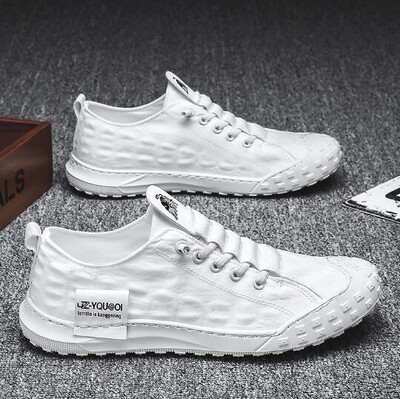 Muške cipele novi trend ledena svila dokolice lijene platnene cipele jesen proljeće prozračne ravne cipele platnene trendi tenisice H463