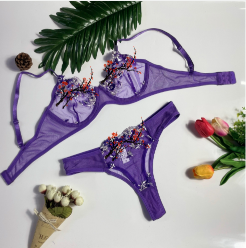 Divdaļīgs, seksīgs sieviešu apakšveļas komplekts, daļēji caurspīdīgs sieviešu apakšveļas izšuvums. Skaisti krūštura un biksīšu komplekti, erotiski tērpi