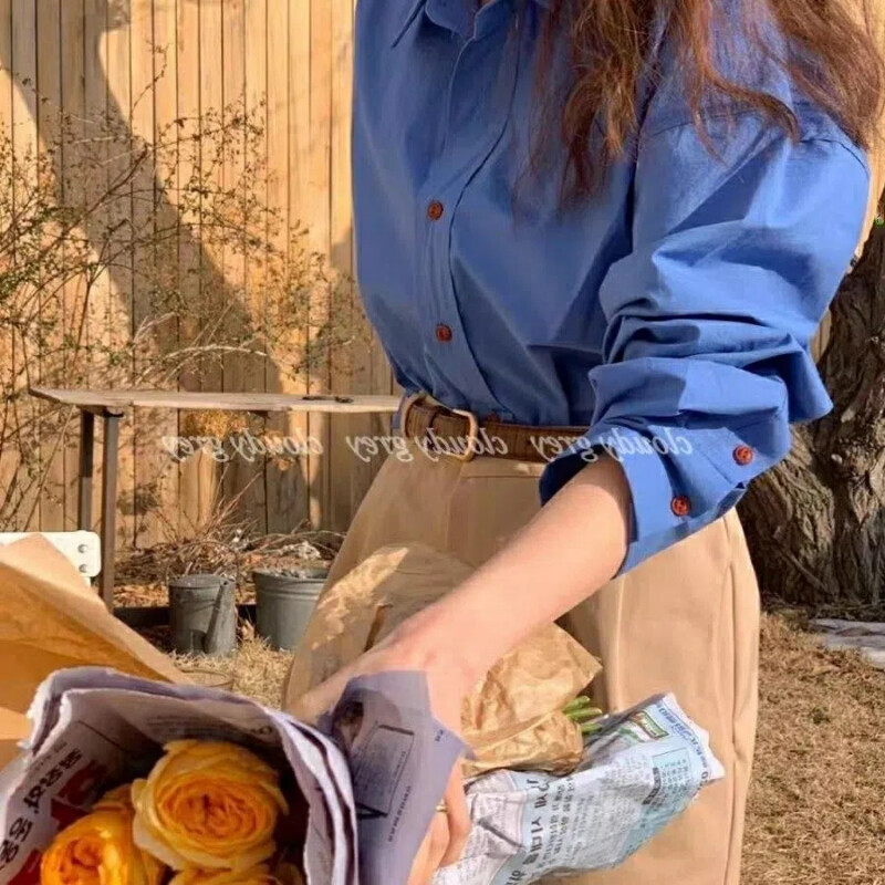 Pavasara rudens jauna stila atloks ar garām piedurknēm blūzes sieviešu apģērbi Rietumu stila vienkrāsains Vienkāršs Baidu pogas korejiešu krekli