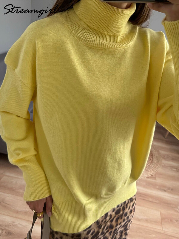 Lihtne punane kilpkaelusega kampsun, naiste trendid 2024. aasta talvised pulloverid, ülisuured kampsunid, naiste džemprid, naiste turtleenck-kampsunid, kohv