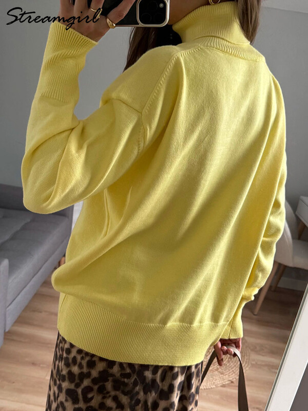 Lihtne punane kilpkaelusega kampsun, naiste trendid 2024. aasta talvised pulloverid, ülisuured kampsunid, naiste džemprid, naiste turtleenck-kampsunid, kohv