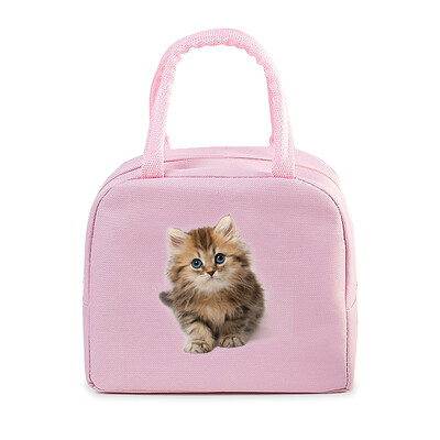 Geantă portabilă de prânz pentru pisici amuzante 3D, durabilă, pentru birou, femei, bărbați, cutie termică, genți de prânz cu desene animate, genți de prânz pentru alimente izolate.