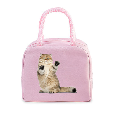 Geantă portabilă de prânz pentru pisici amuzante 3D, durabilă, pentru birou, femei, bărbați, cutie termică, genți de prânz cu desene animate, genți de prânz pentru alimente izolate.