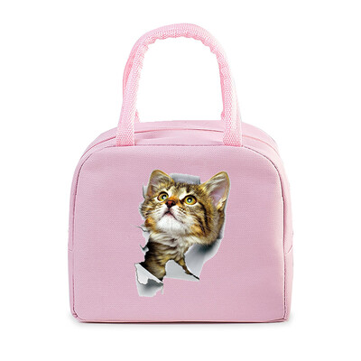 Geantă portabilă de prânz pentru pisici amuzante 3D, durabilă, pentru birou, femei, bărbați, cutie termică, genți de prânz cu desene animate, genți de prânz pentru alimente izolate.
